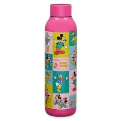 Disney Mickey Mouse And Friends Stainless Steel Water Bottle